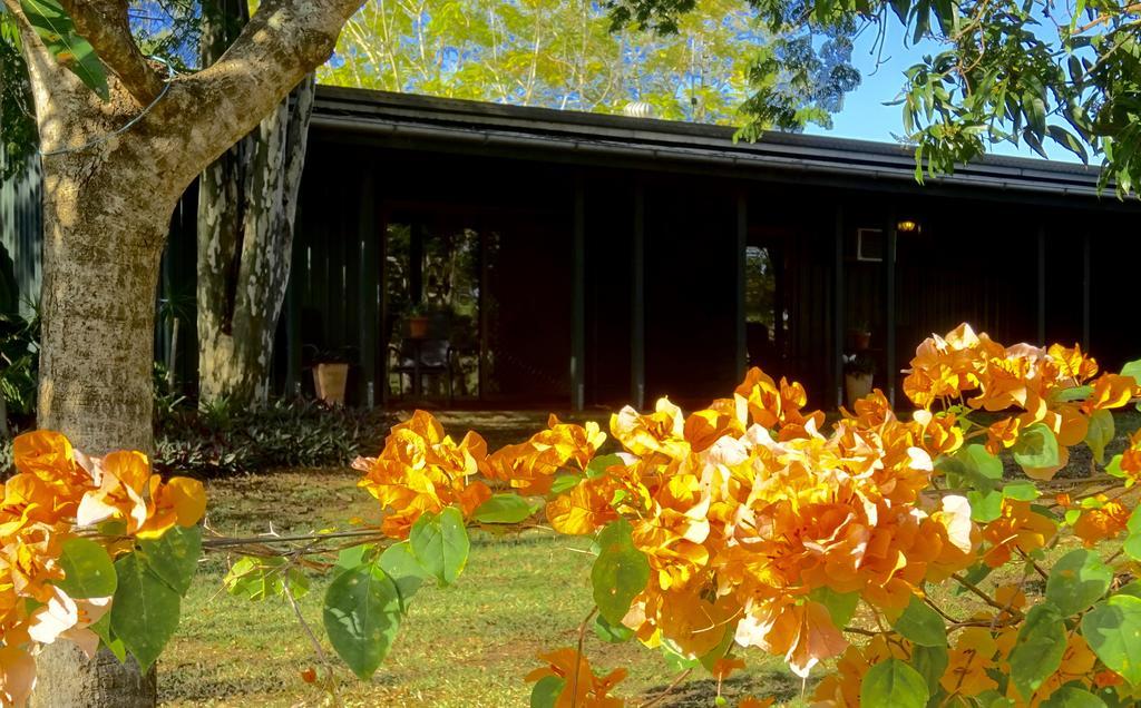 Lagoon Pocket Bed & Breakfast Buitenkant foto