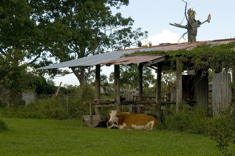 Lagoon Pocket Bed & Breakfast Buitenkant foto